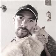 Profesor de danza todos los ritmos urbanos y folclor